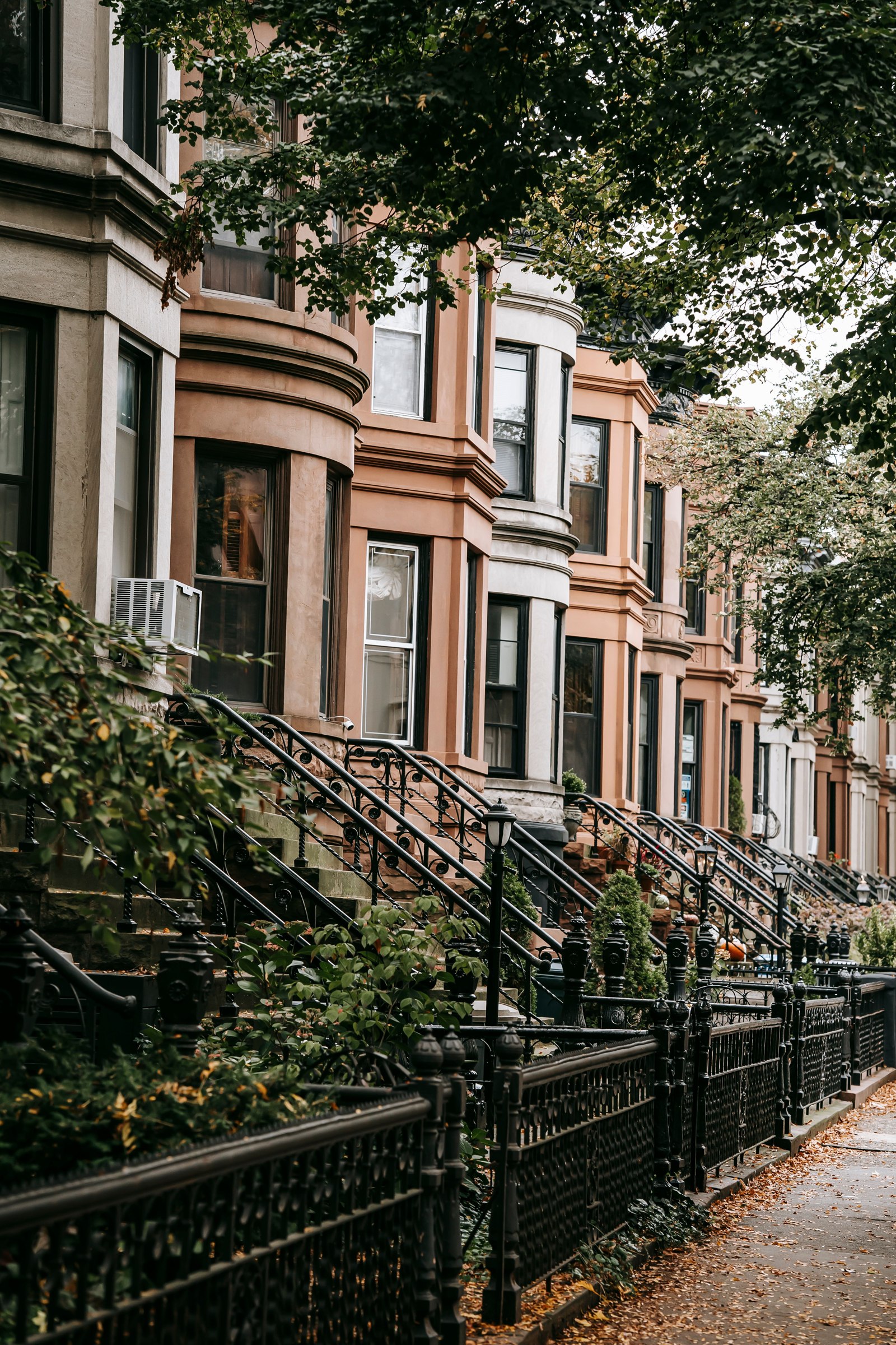 Tree-lined row homes with bay windows and iron-railed front steps